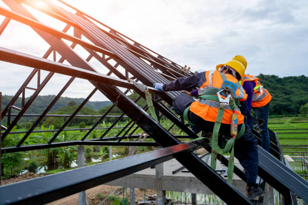 Best Gutter Installation and Roofing  in Zephyrhills North, FL