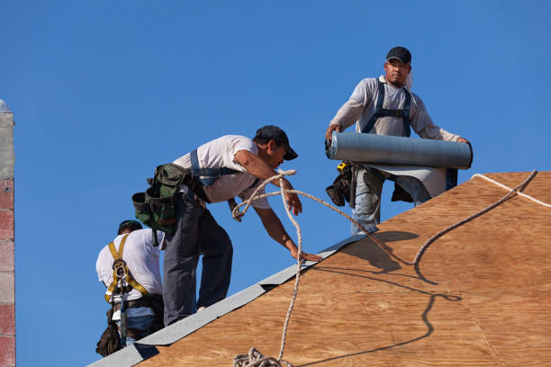 Best Commercial Roofing Services  in Zephyrhills North, FL