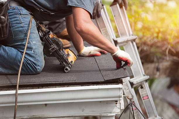 Quick and Trustworthy Emergency Roof Repair Services in Zephyrhills North, FL